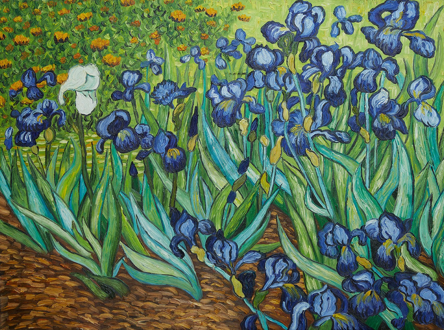 Vincent Van Gogh - Irises 14 (Hand-Painted)